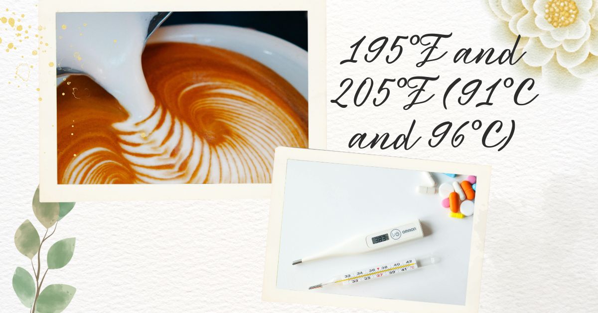 what is the perfect temp for coffee