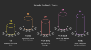 Starbucks Cup Sizes: A Detailed Breakdown
