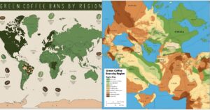 The Coffee-Growing Belt